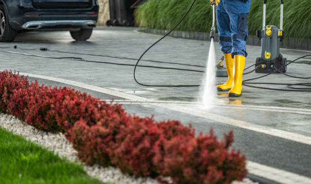 Best Best Pressure Washing Companies  in Worthington, MN