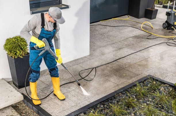 Best Exterior Home Cleaning  in Worthington, MN