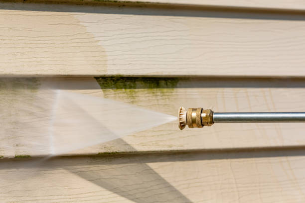 Best Pressure Washing Contractors  in Worthington, MN